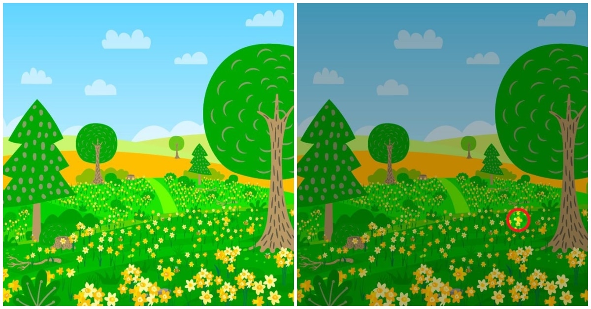 Hidden Objects in Pictures and Famous Optical Illusions