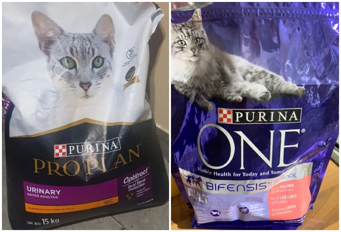 the-best-and-worst-cat-food-brands-ranked